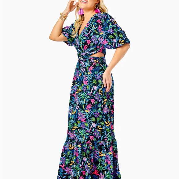 NWT! Lilly Pulitzer Teyla Maxi Dress - Picture 3 of 8